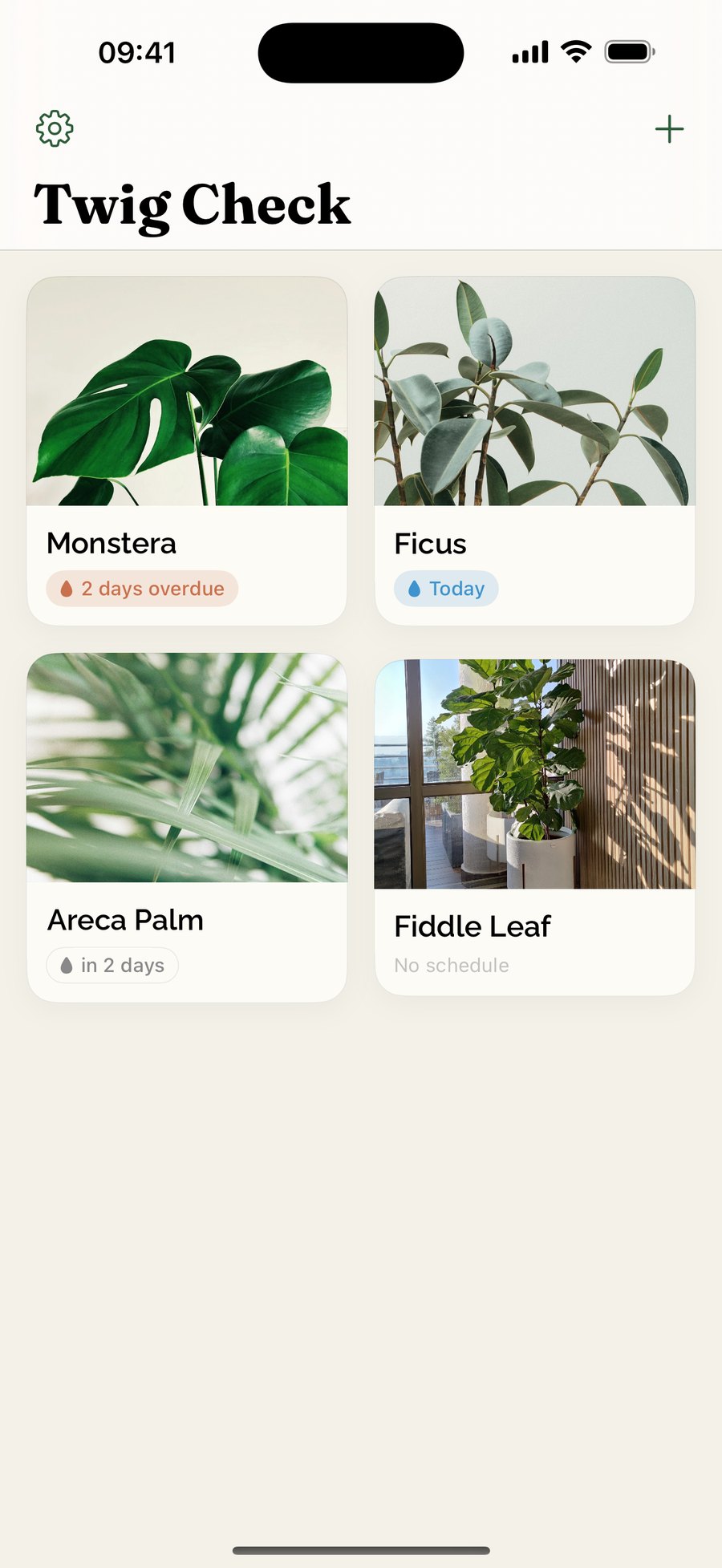 The Twig Check plant list showing Monstera, Ficus, Areca Palm and Fiddle Leaf with what’s due next